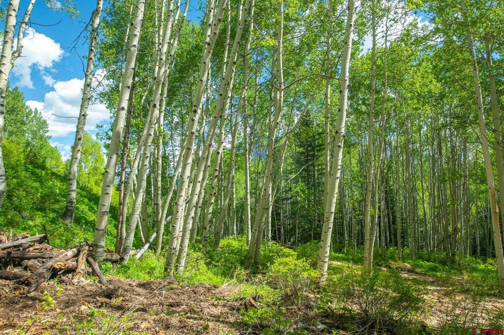 tbd Hidden Mine Road