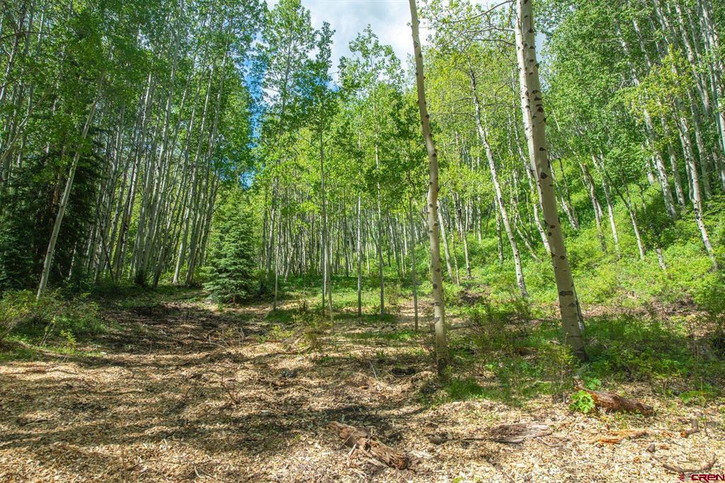 tbd Hidden Mine Road