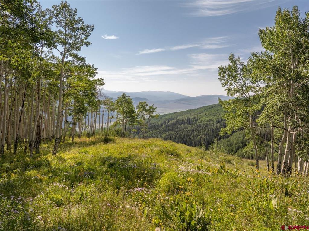 465 Oversteeg Gulch Road