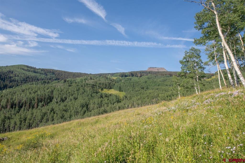 465 Oversteeg Gulch Road