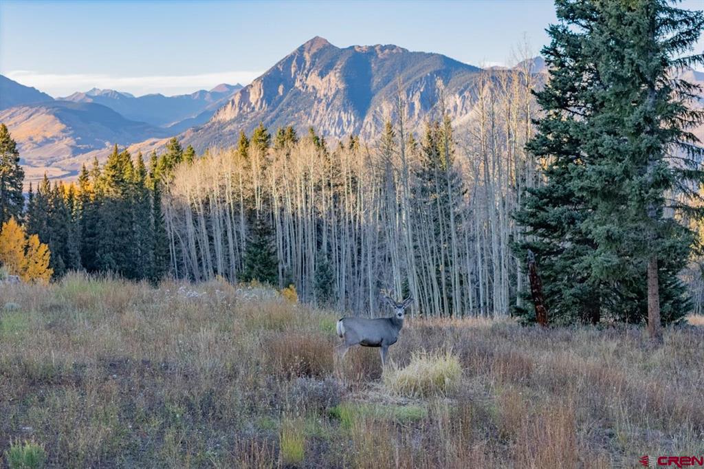 1252 Red Mountain Ranch Upper Loop Road