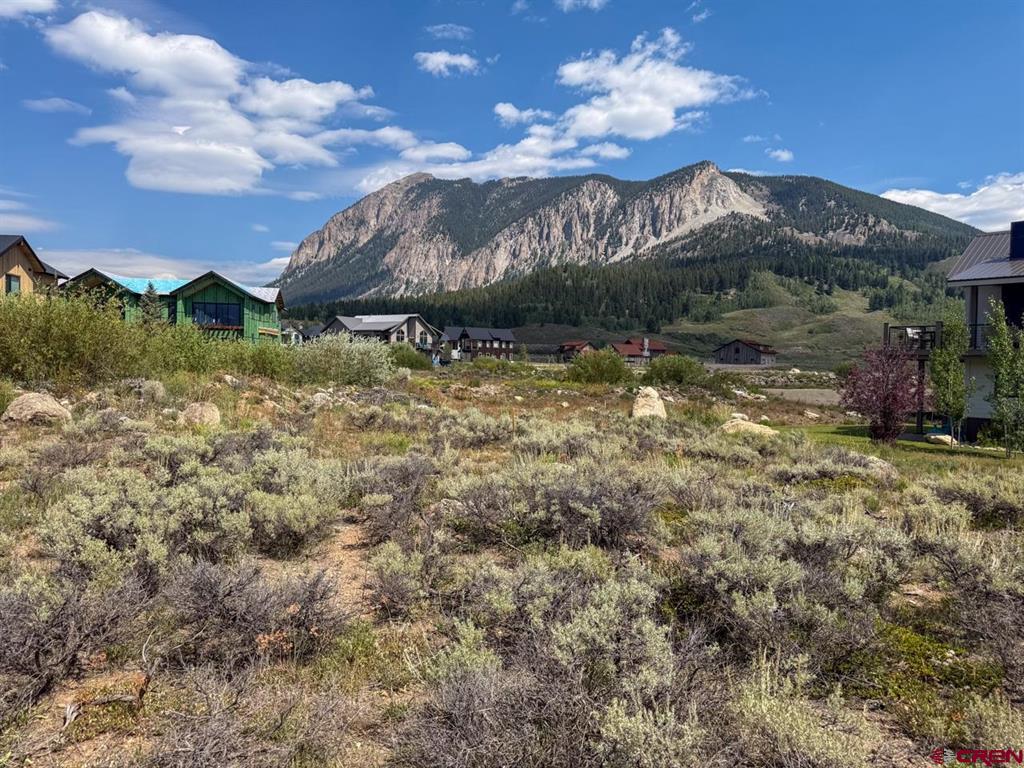 126 White Stallion Circle