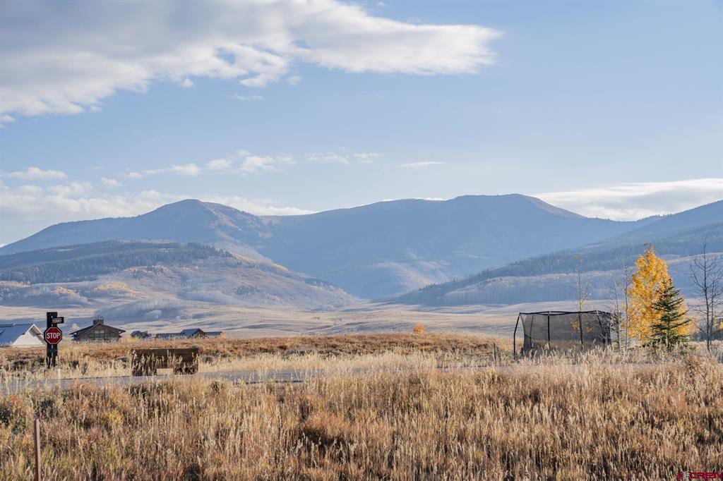 49 White Stallion Circle