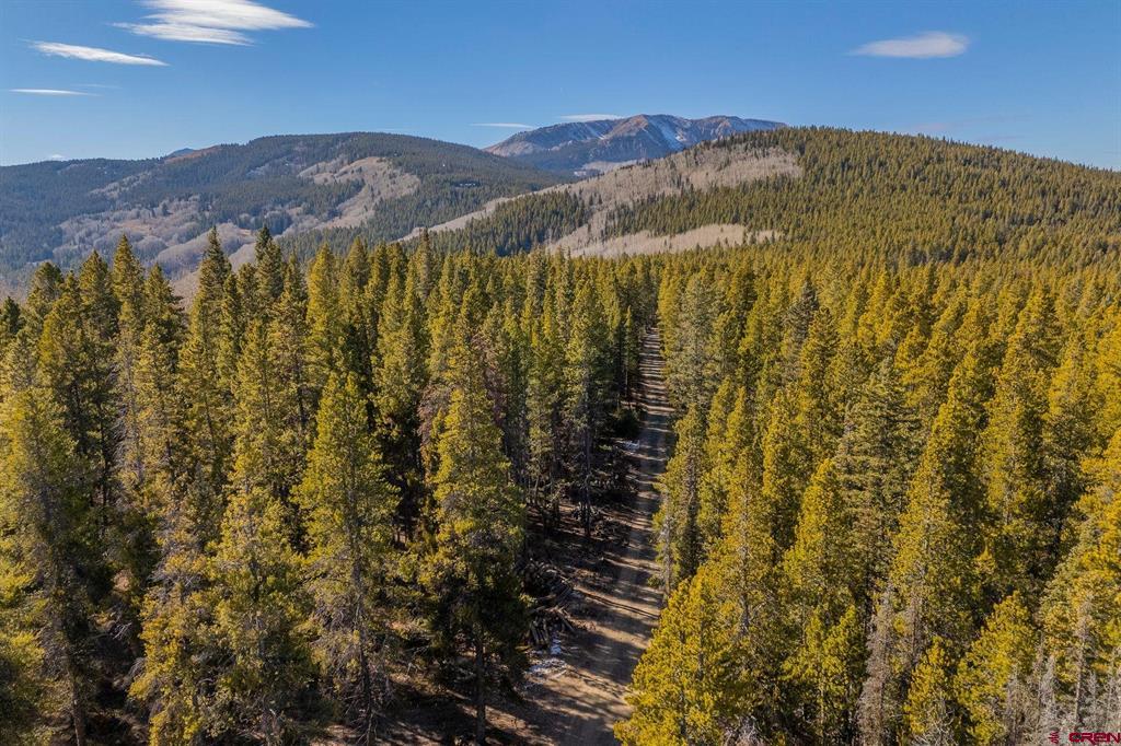 997 Saddle Ridge Road