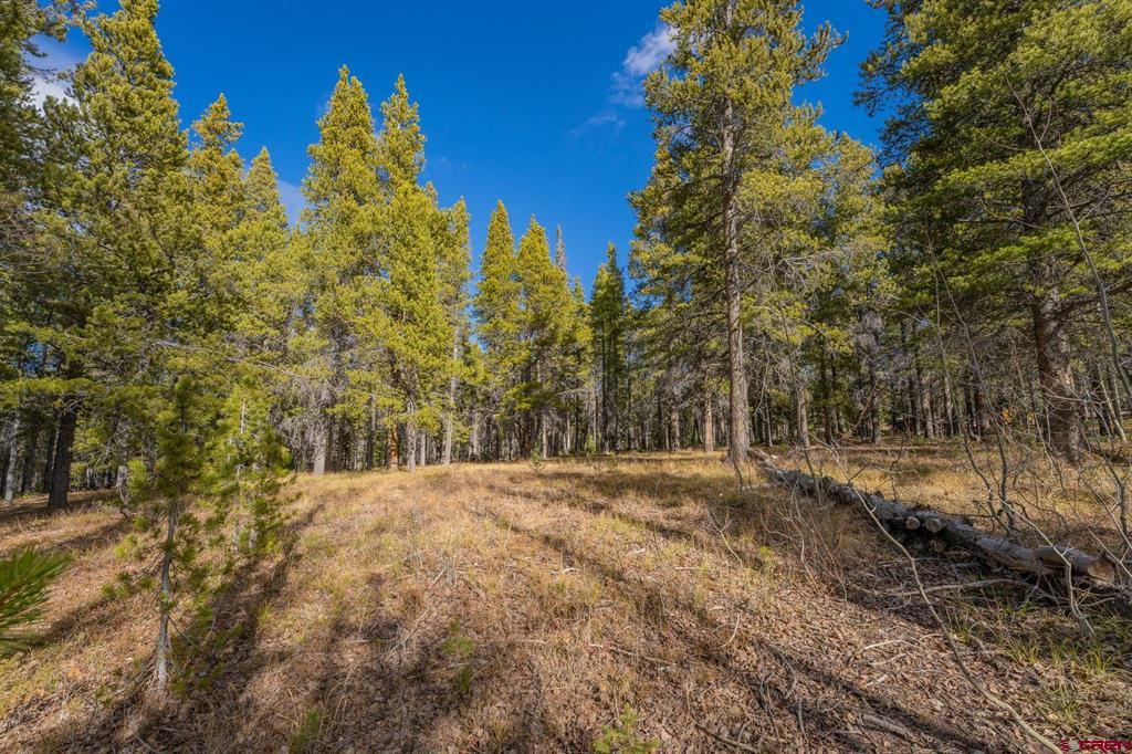 980 Saddle Ridge Road