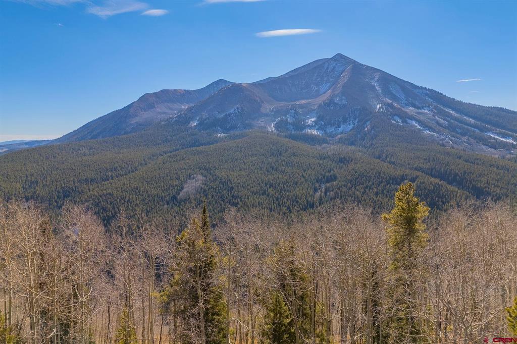 980 Saddle Ridge Road