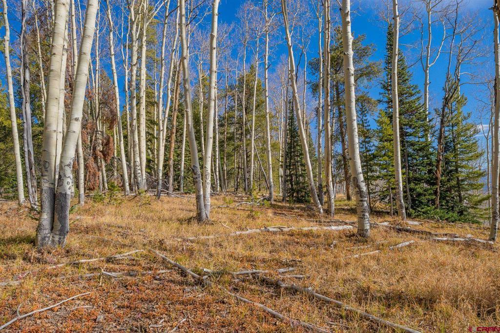 980 Saddle Ridge Road