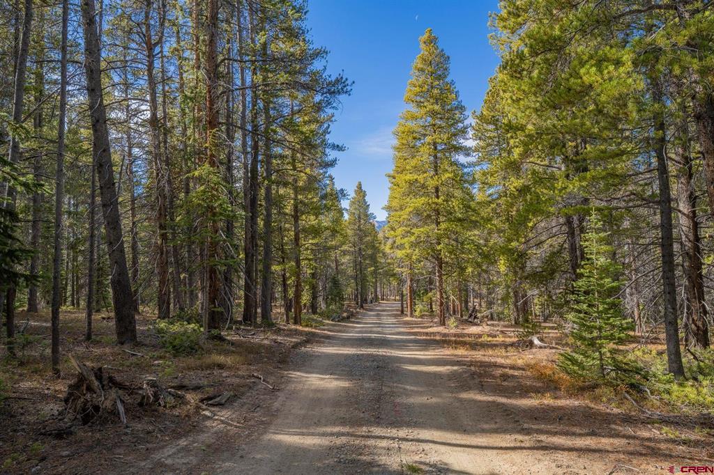 980 Saddle Ridge Road