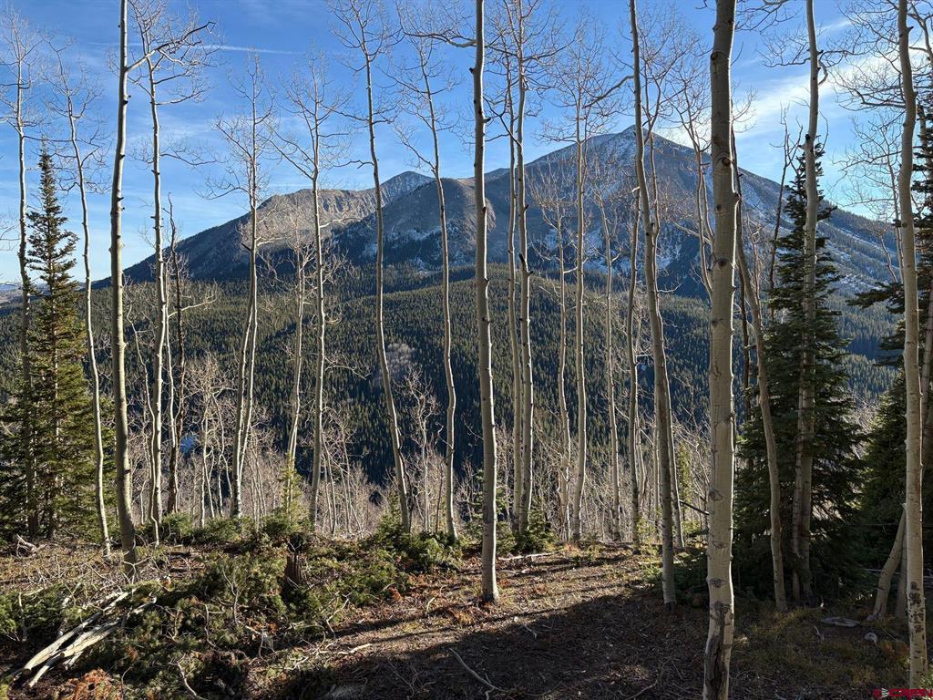 980 Saddle Ridge Road