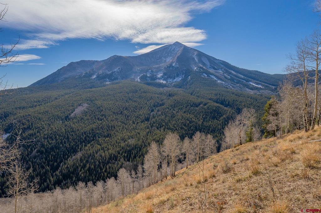 980 Saddle Ridge Road