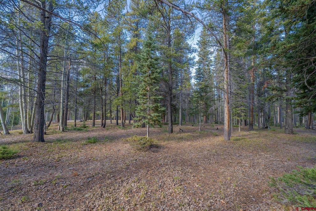 980 Saddle Ridge Road