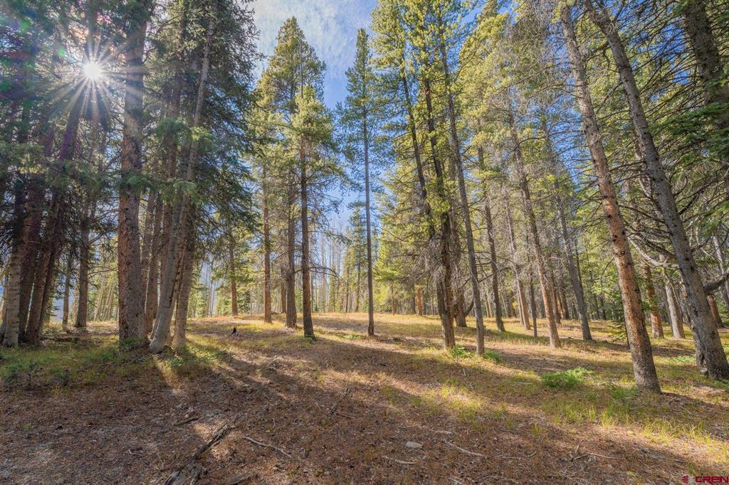 980 Saddle Ridge Road