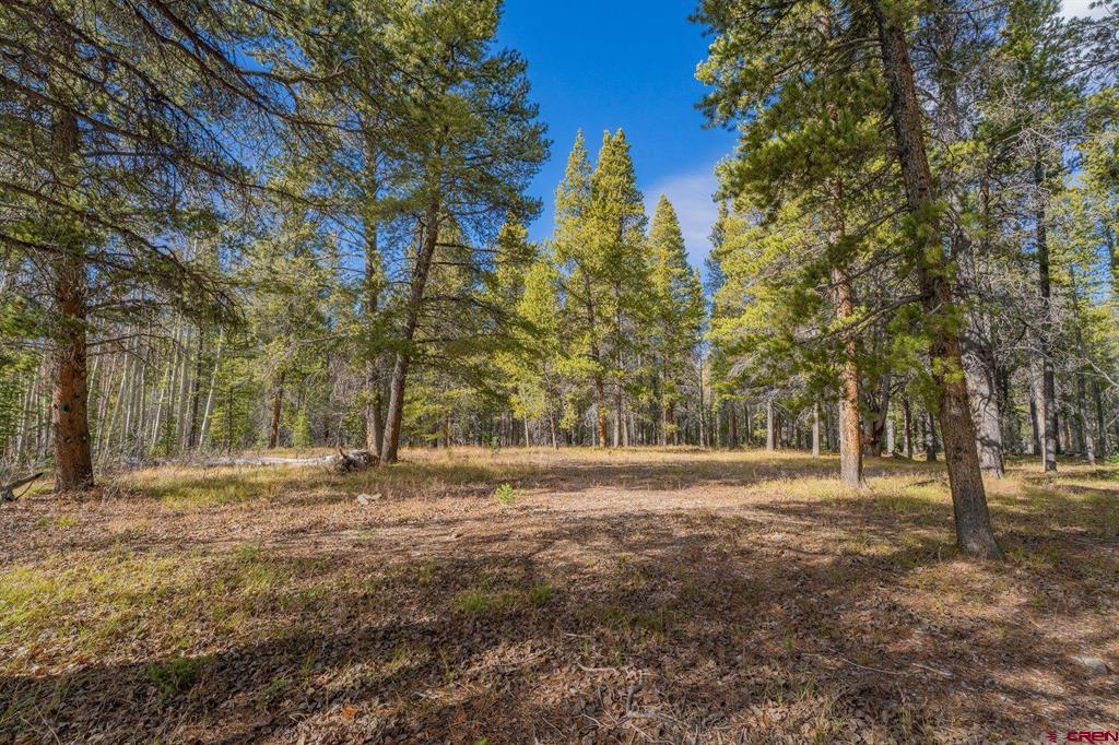 980 Saddle Ridge Road