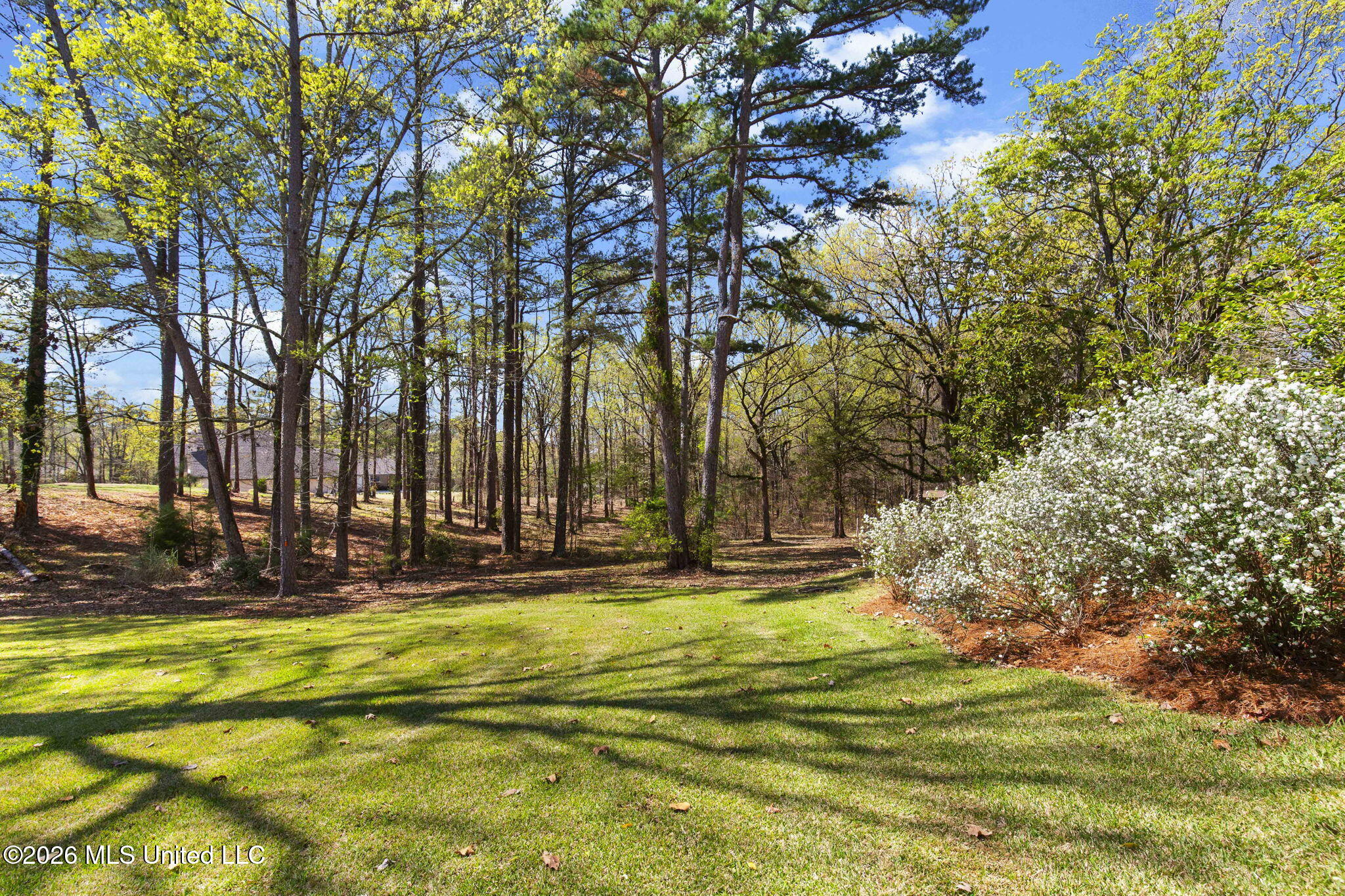 6145 Wirtz Road