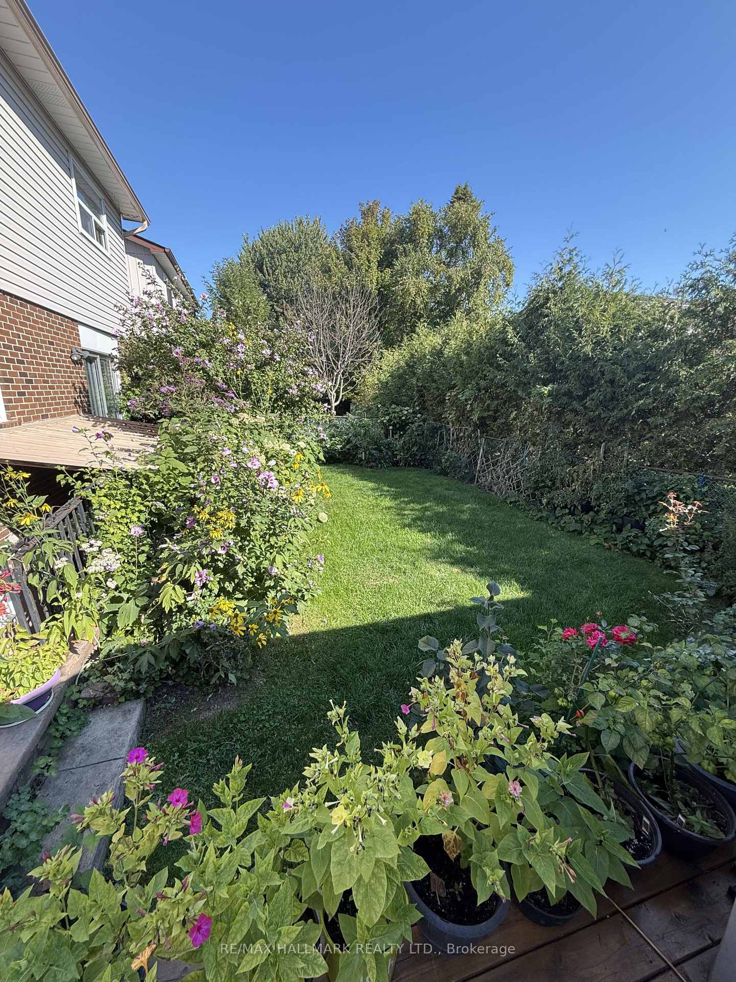 43 Galloway Road, Toronto