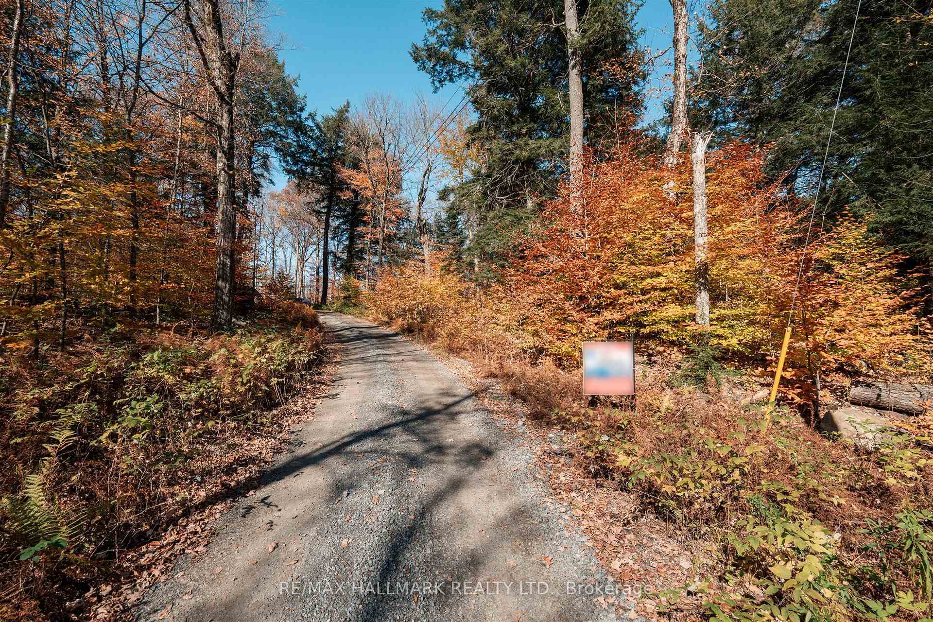 1310 Camel Lake Road Unit 11 Lot 5