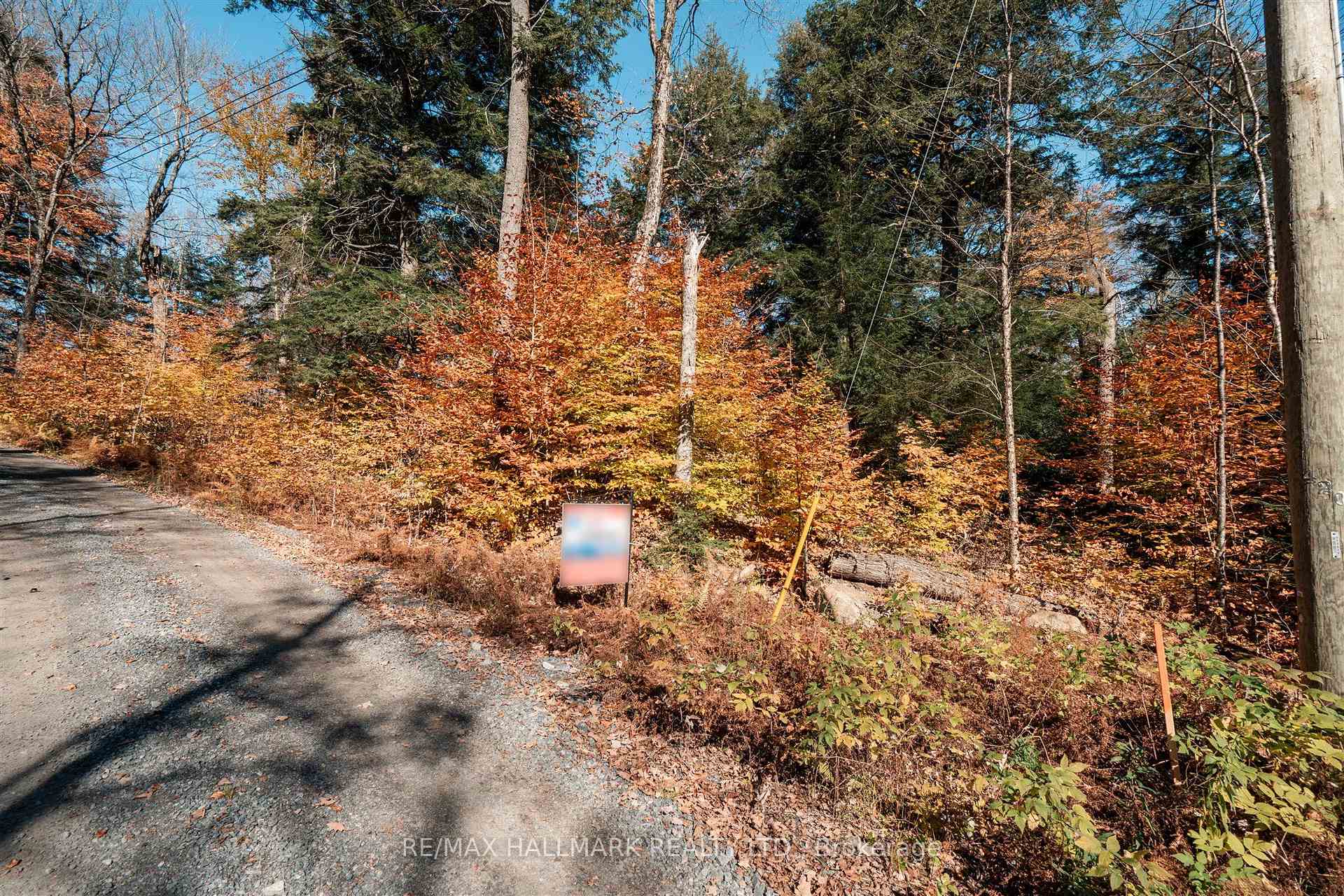1310 Camel Lake Road Unit 11 Lot 5