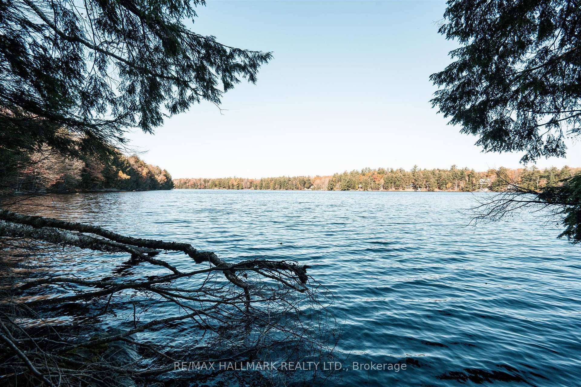 1310 Camel Lake Road Unit 11 Lot 5
