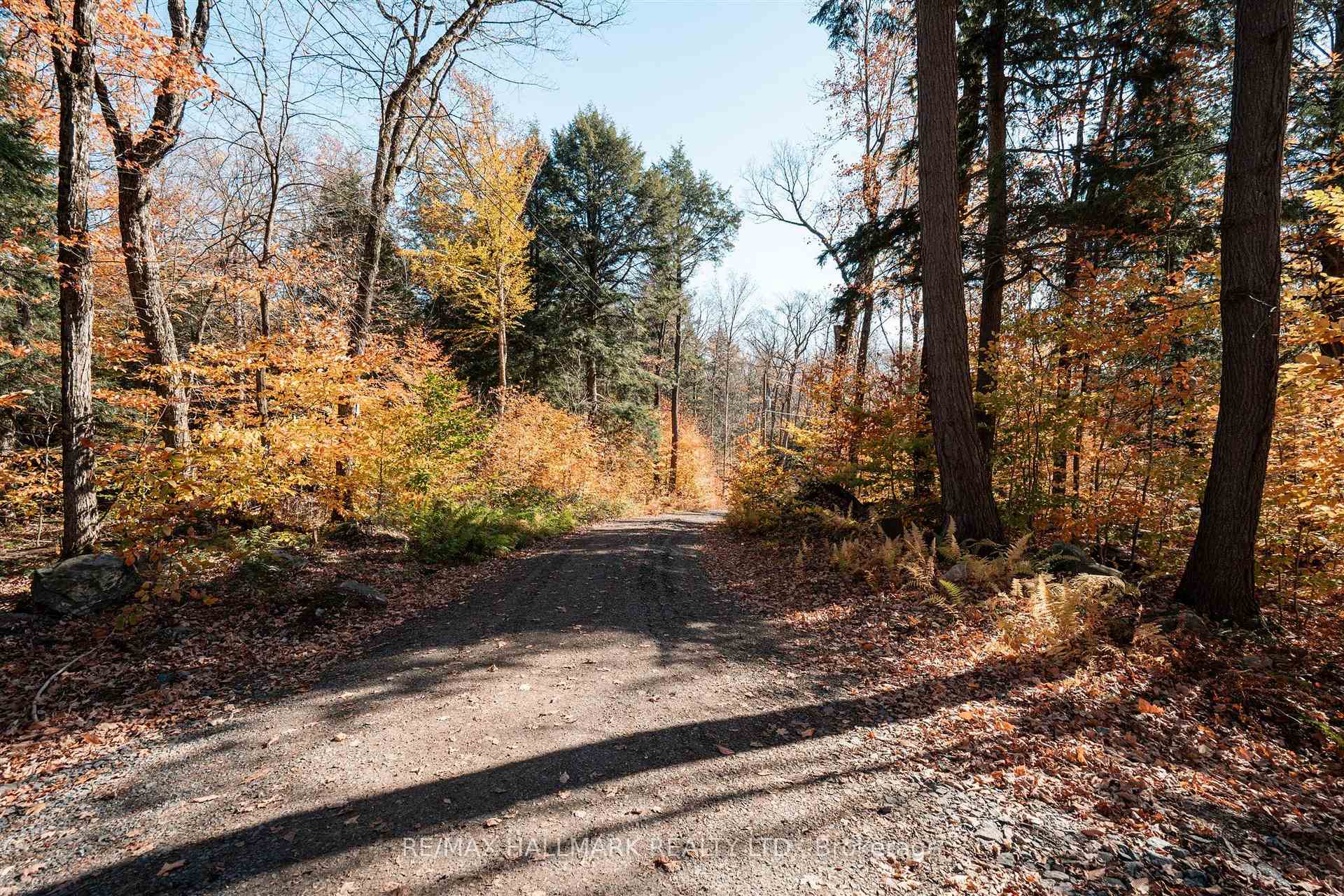 1310 Camel Lake Road Unit 11 Lot 5