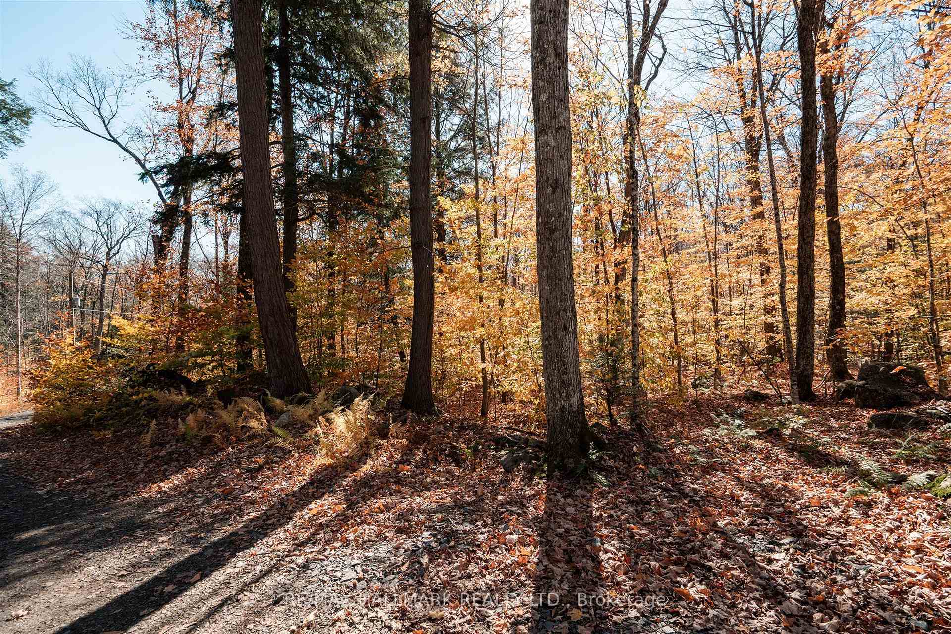 1310 Camel Lake Road Unit 11 Lot 5