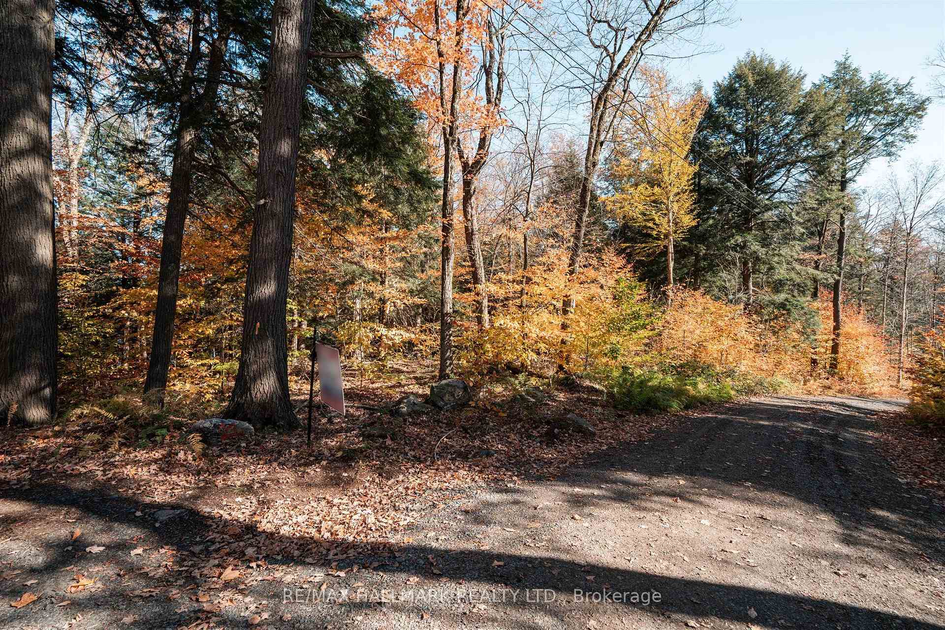 1310 Camel Lake Road Unit 11 Lot 5