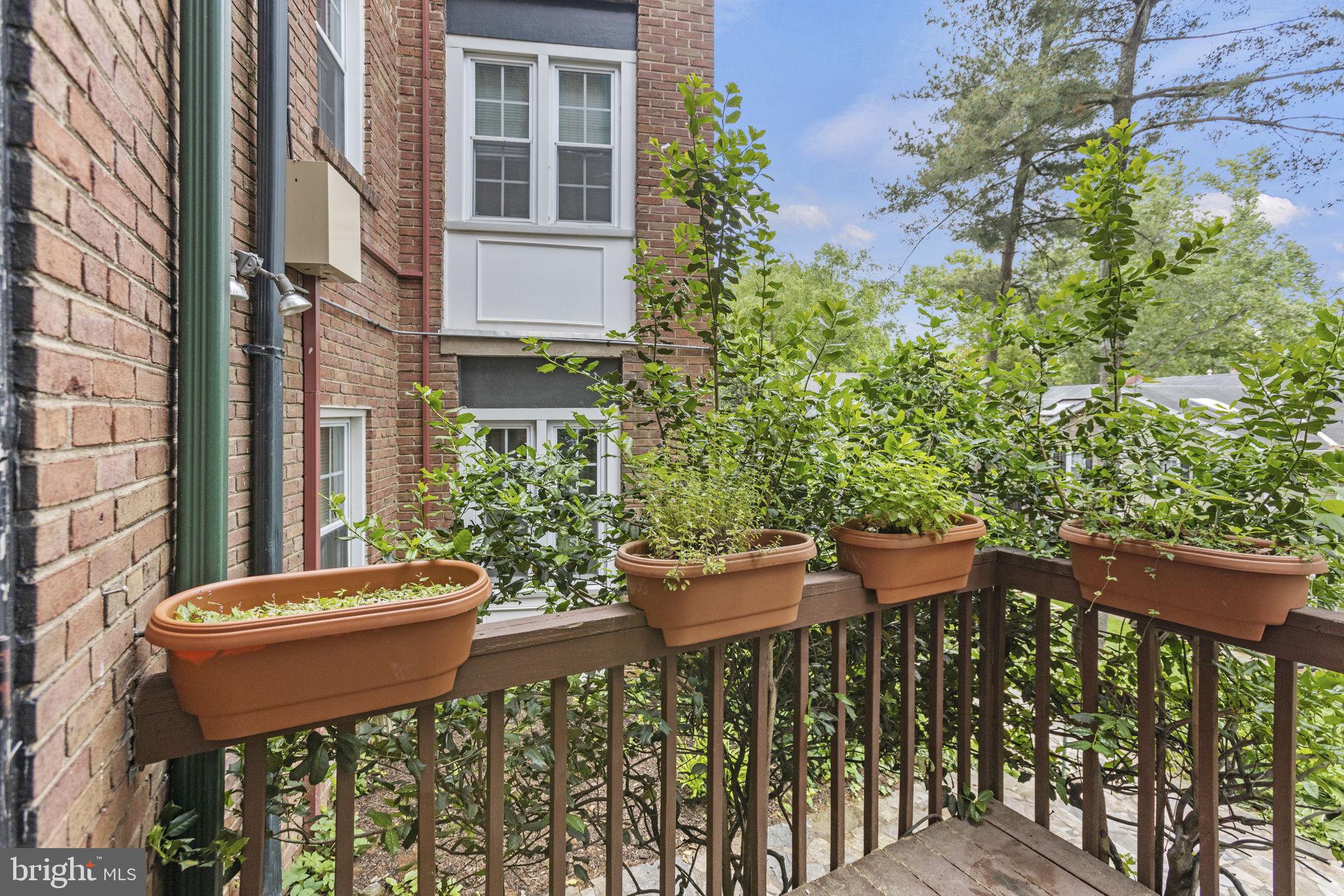 4866 MacArthur Blvd NW #1