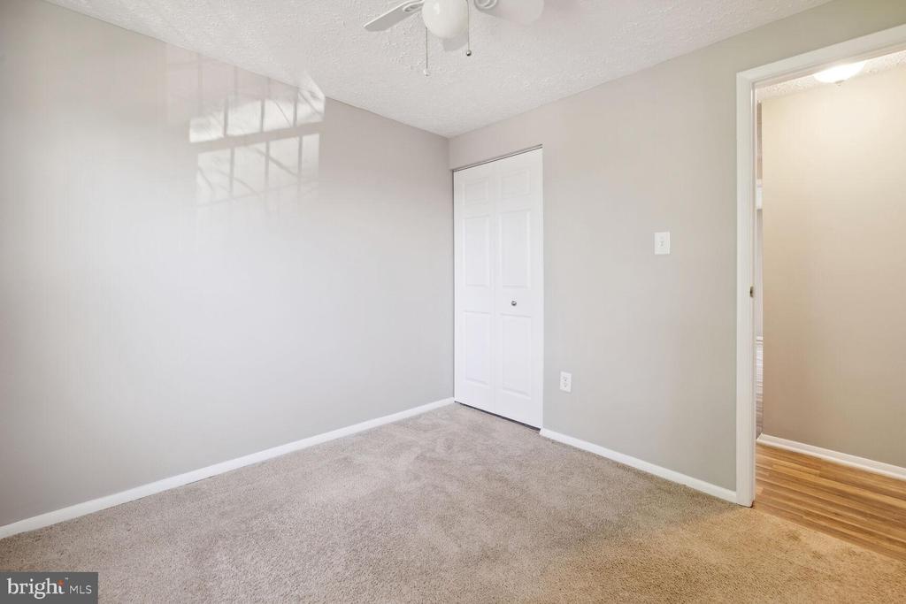 11802 Elderberry Dr