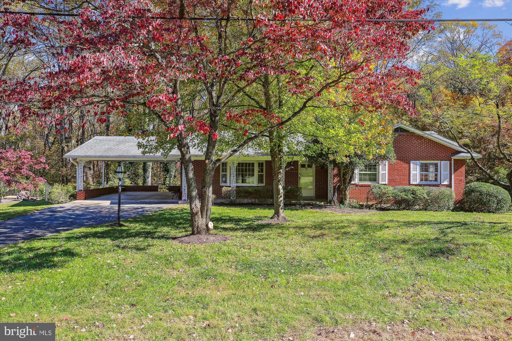 17817 Tree Lawn Dr