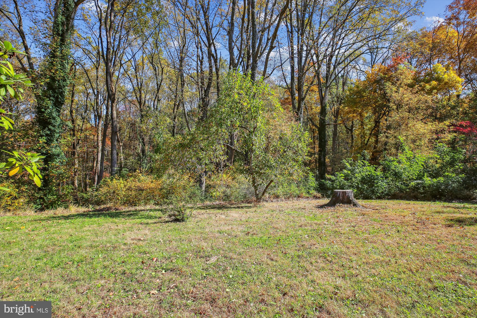 17817 Tree Lawn Dr