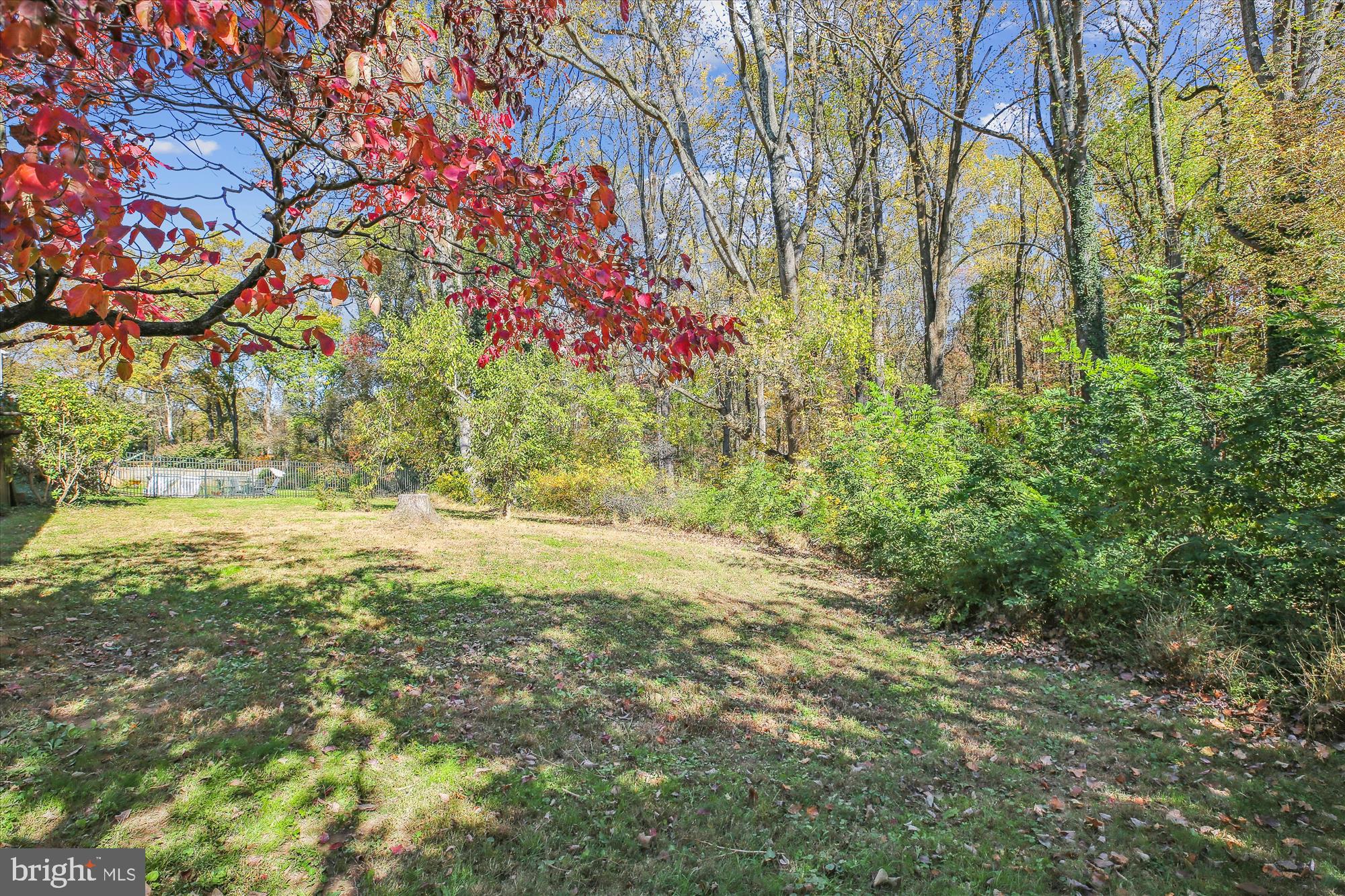 17817 Tree Lawn Dr