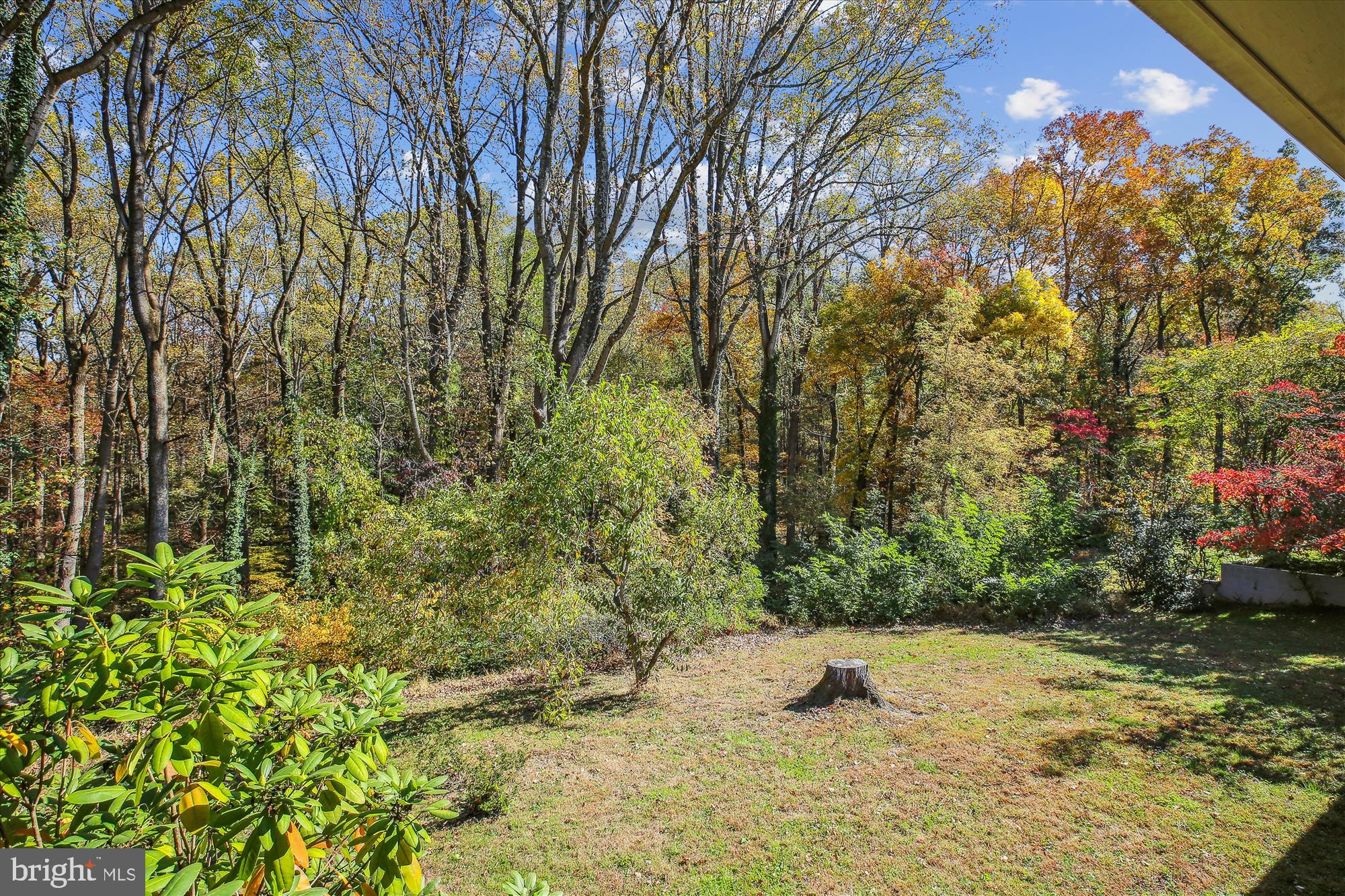 17817 Tree Lawn Dr