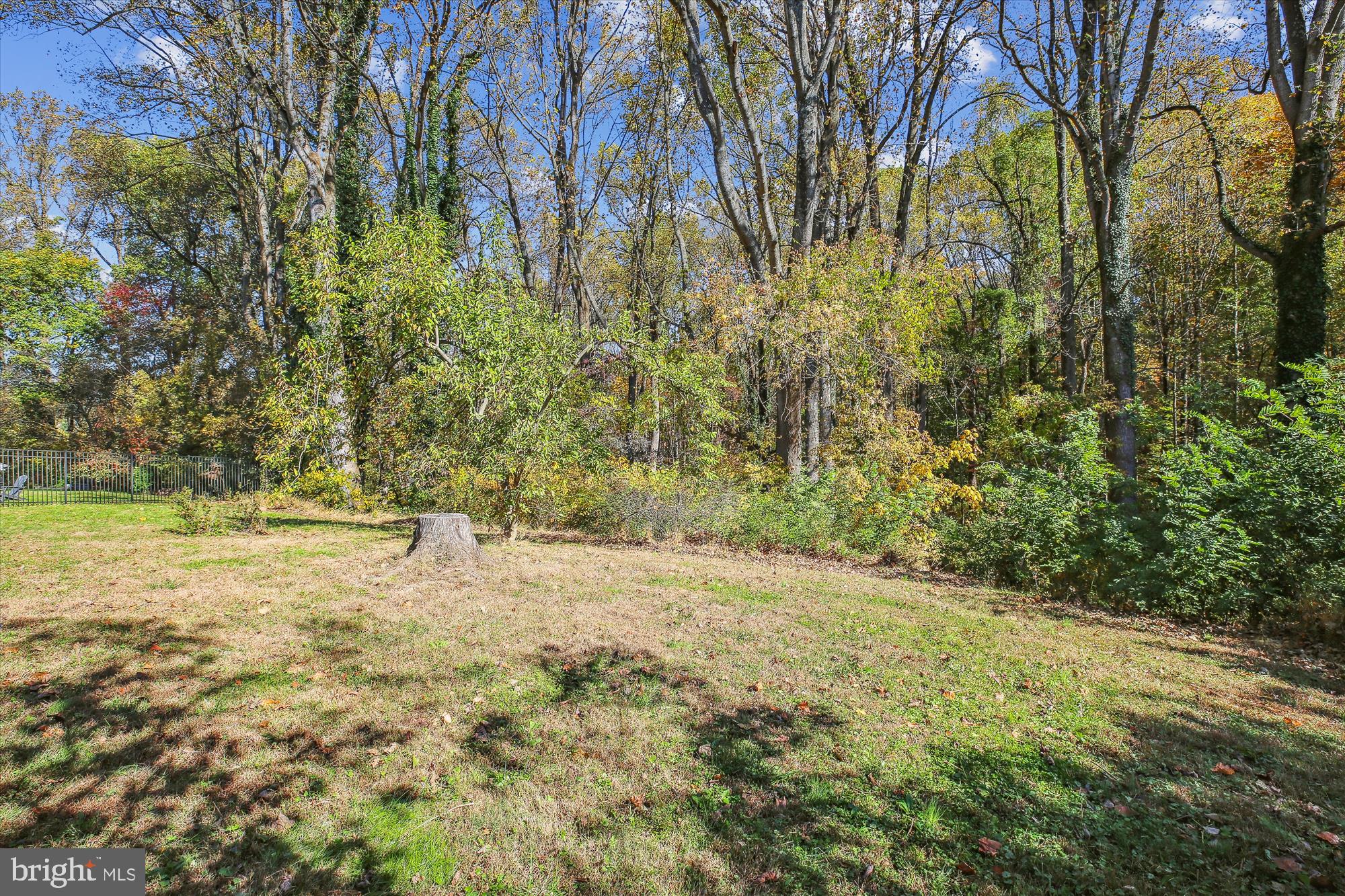 17817 Tree Lawn Dr