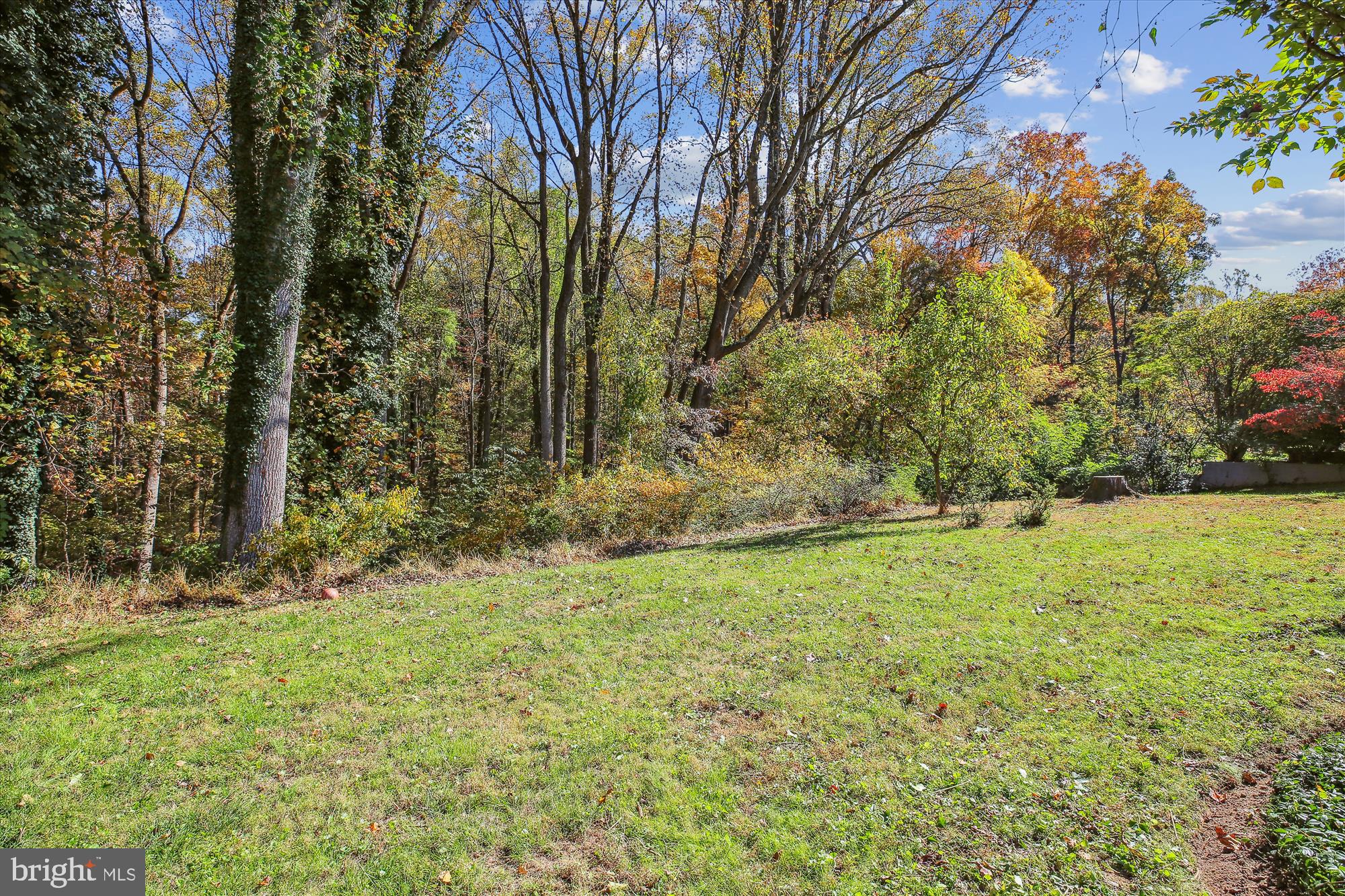 17817 Tree Lawn Dr