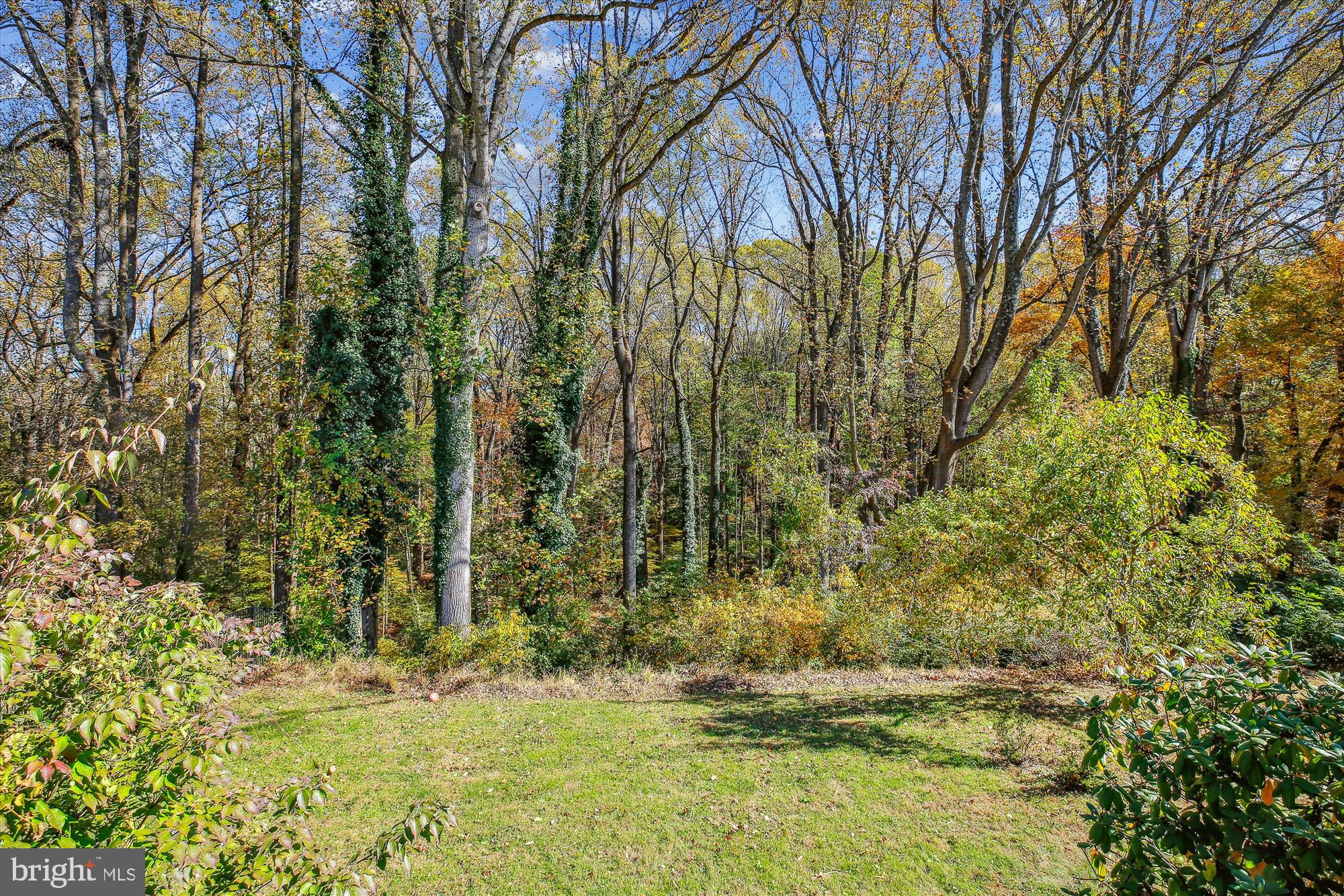 17817 Tree Lawn Dr