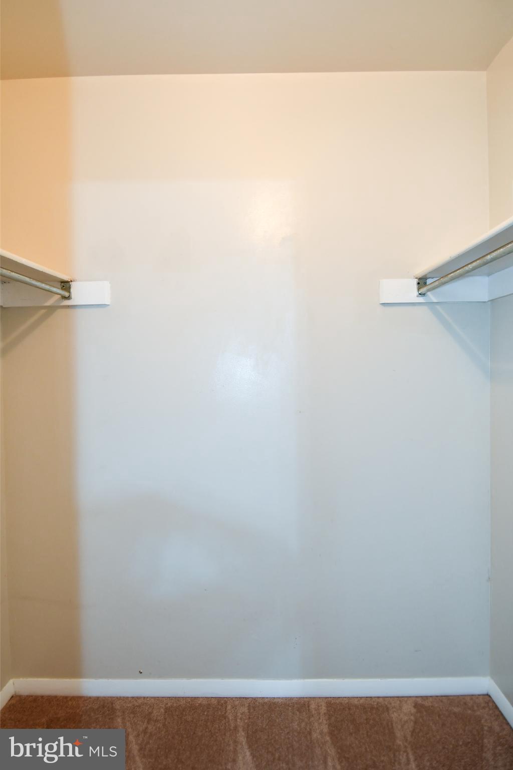 8328 Mountain Ash Way