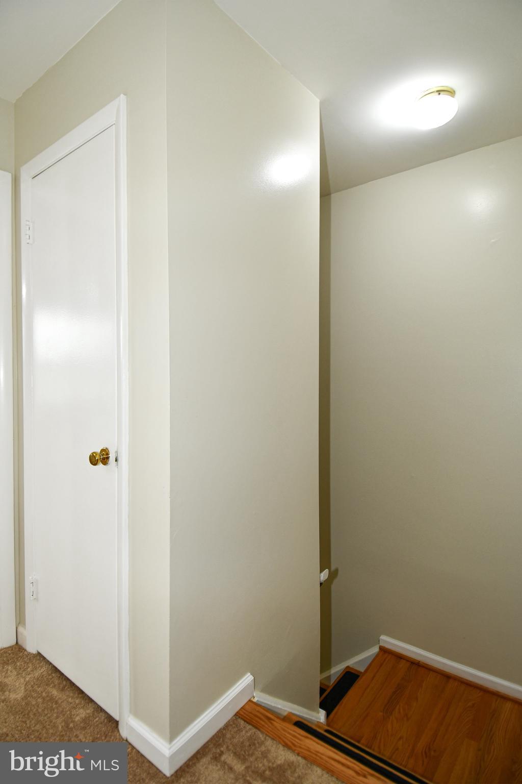 8328 Mountain Ash Way