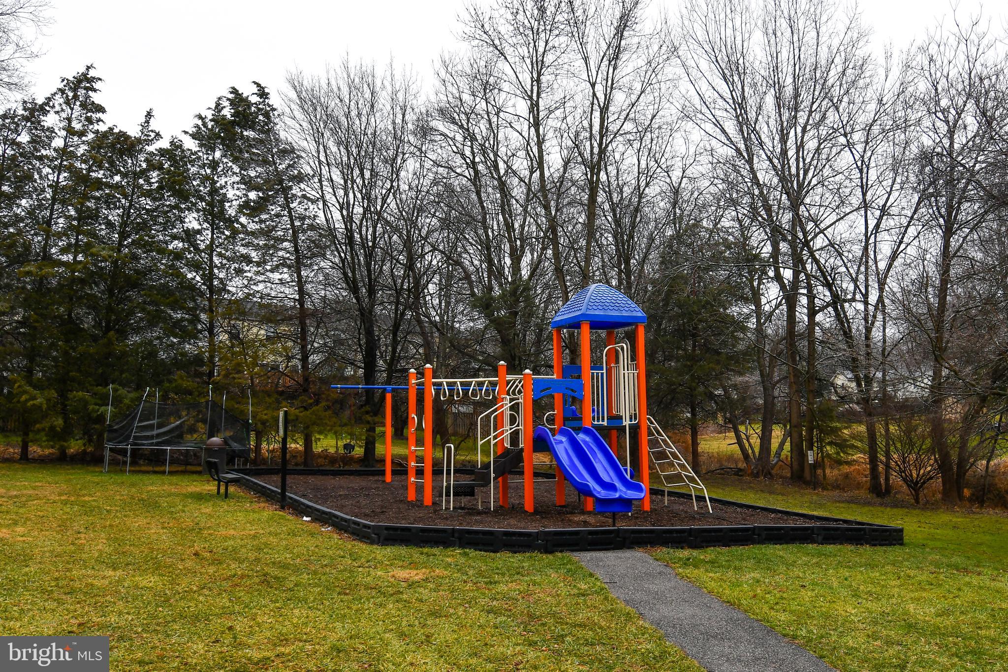 8328 Mountain Ash Way