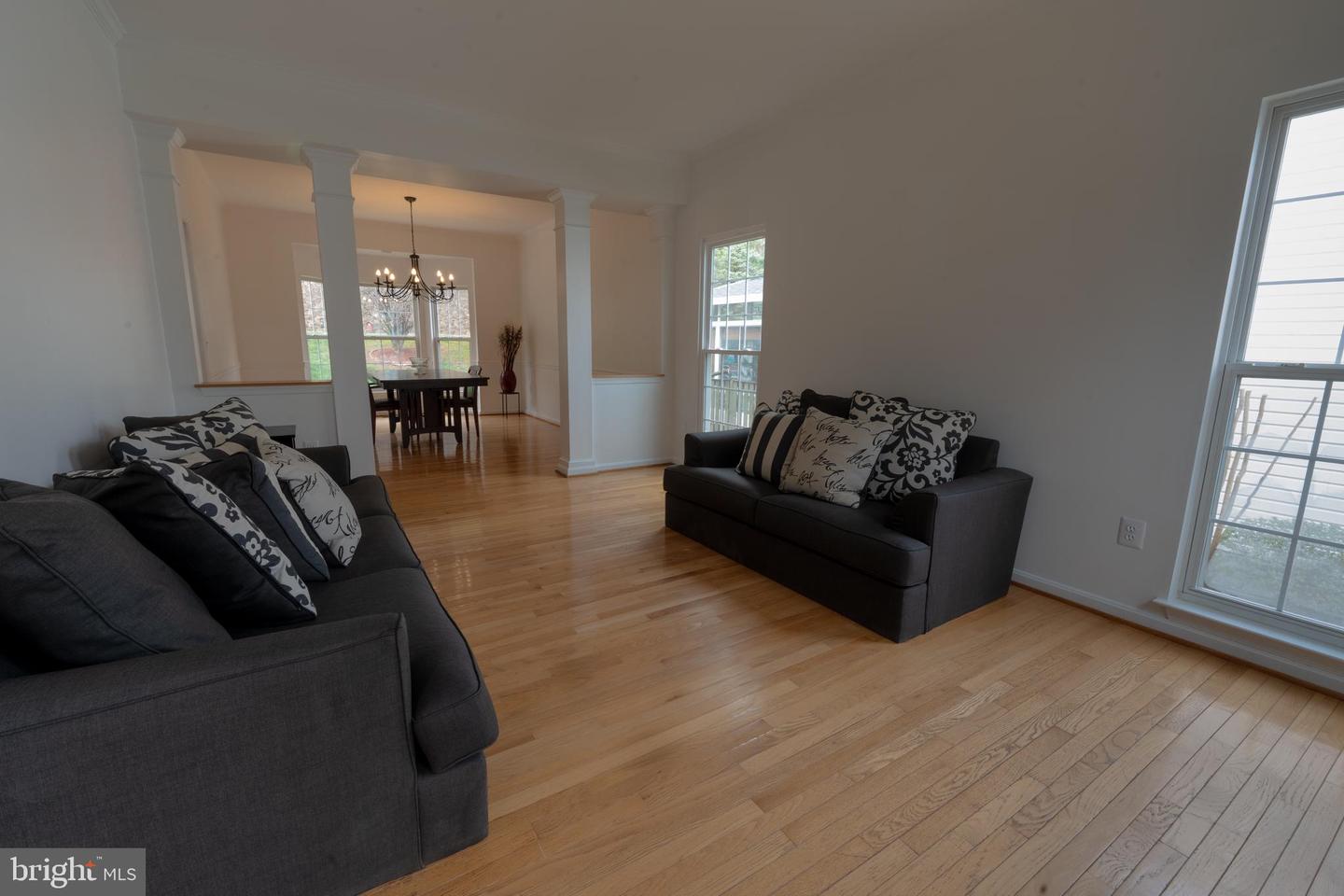 21210 Virginia Pine Ter