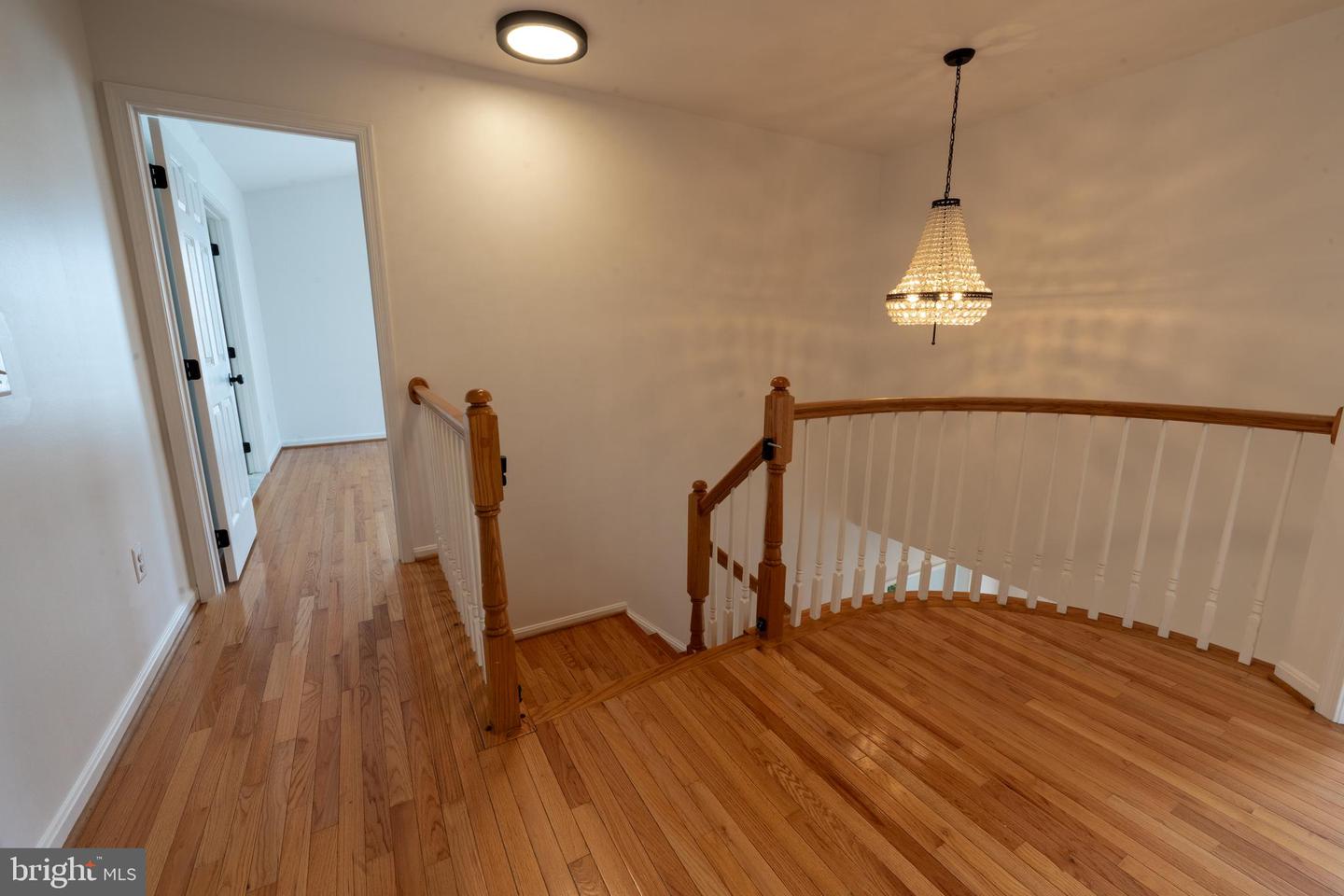 21210 Virginia Pine Ter