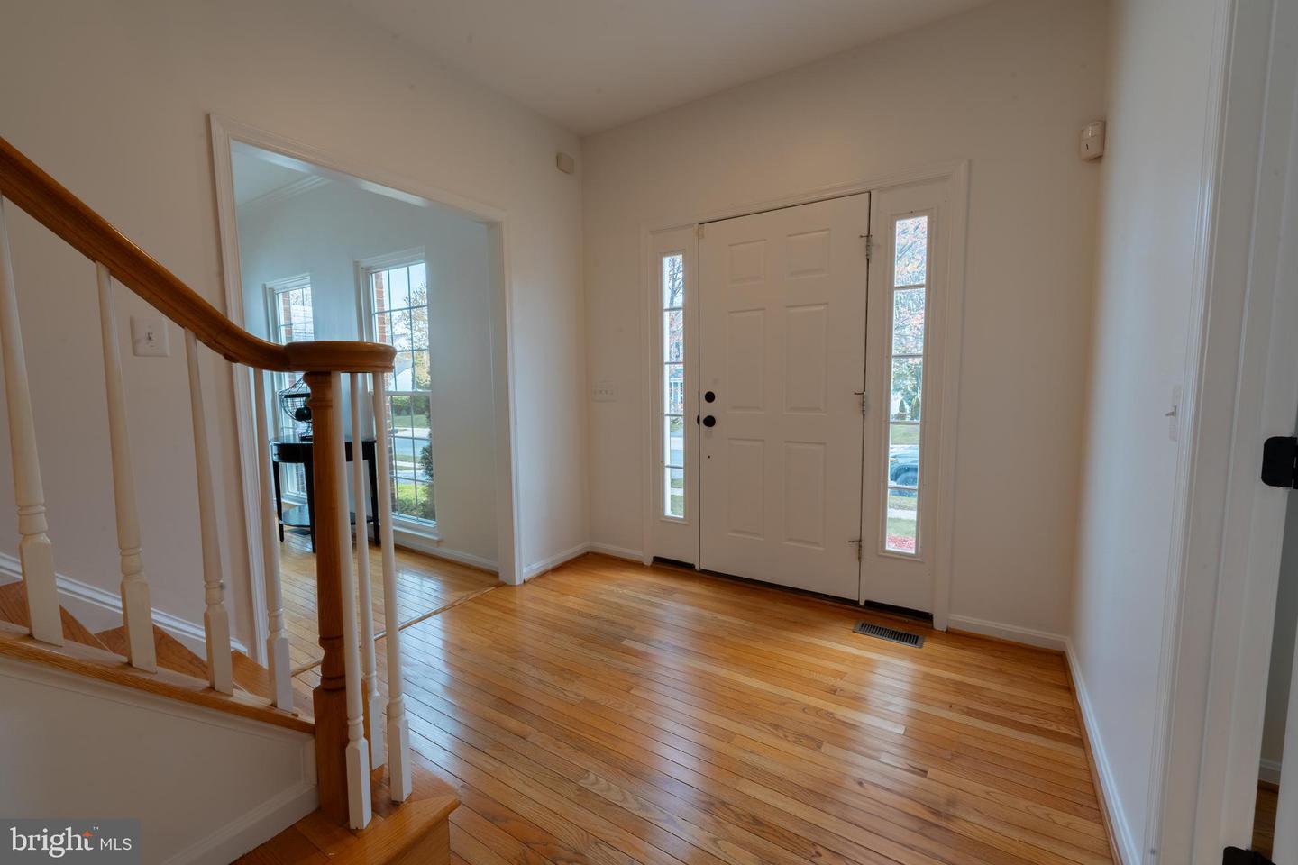 21210 Virginia Pine Ter