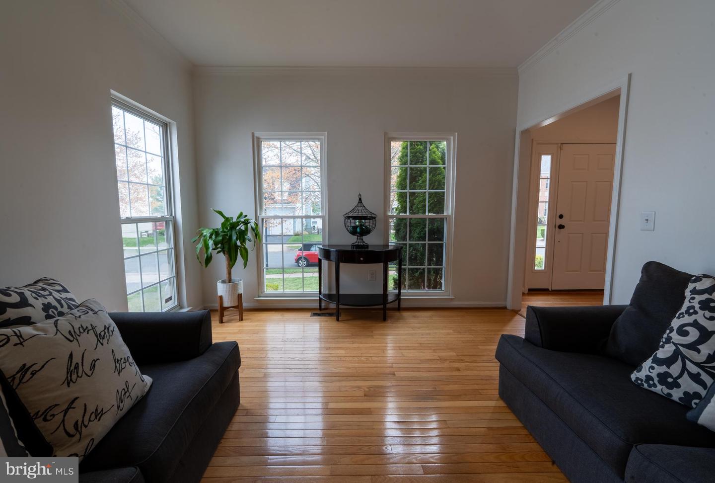 21210 Virginia Pine Ter