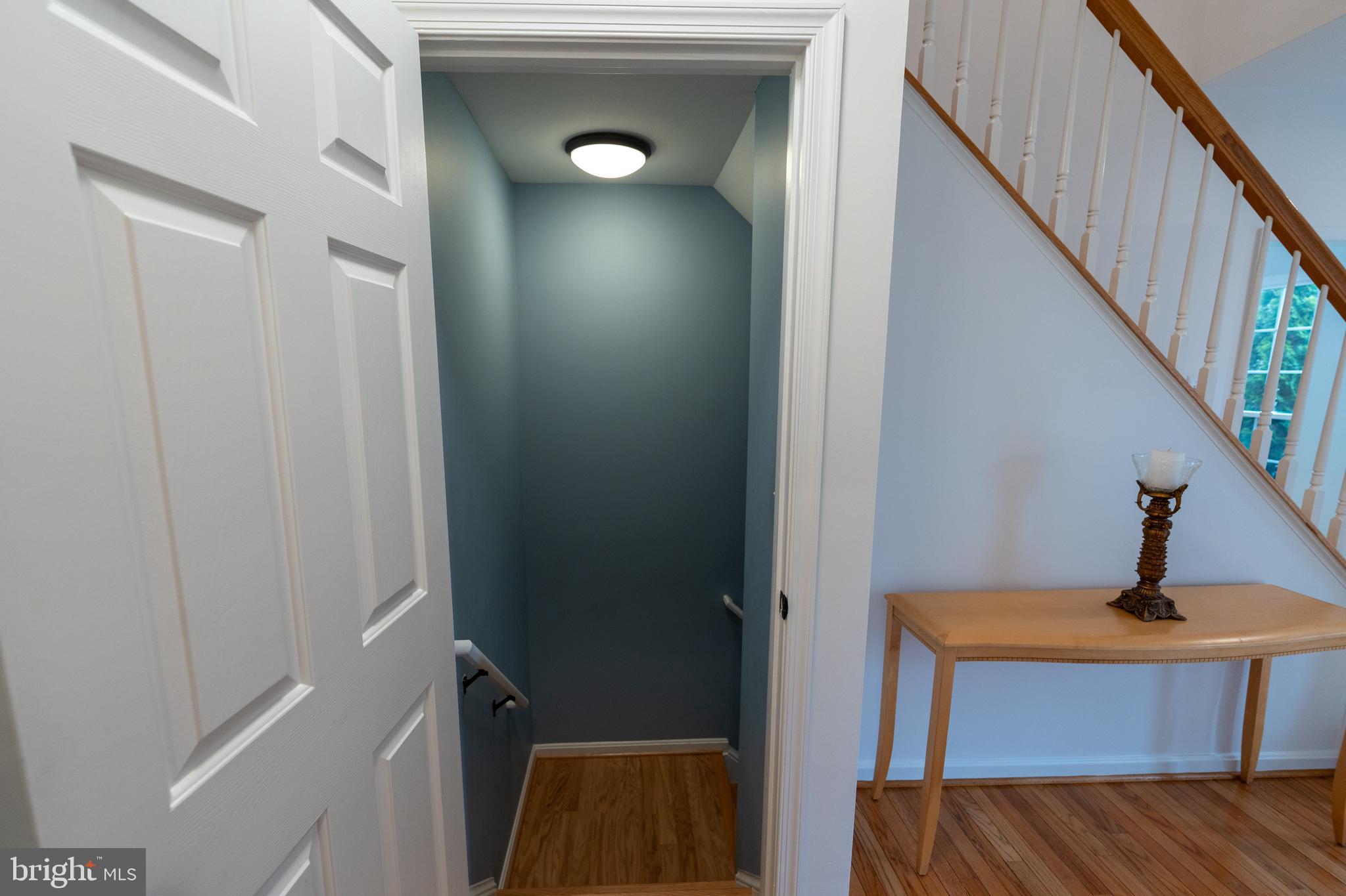21210 Virginia Pine Ter