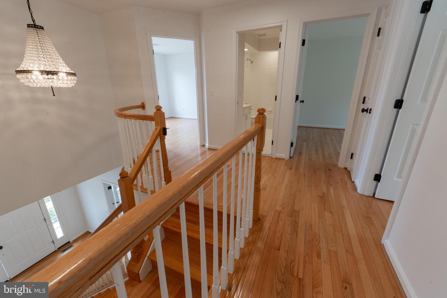 21210 Virginia Pine Ter