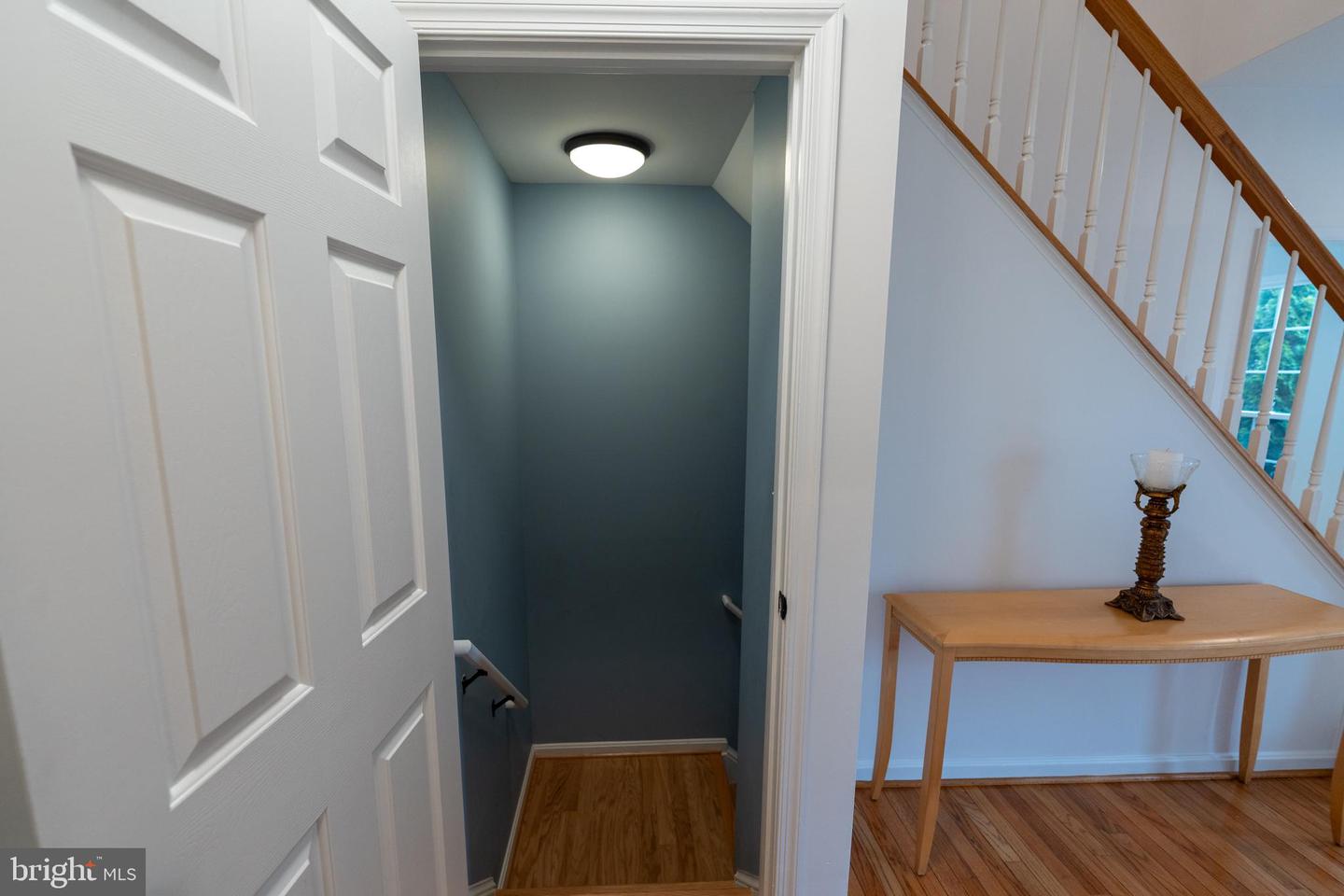 21210 Virginia Pine Ter