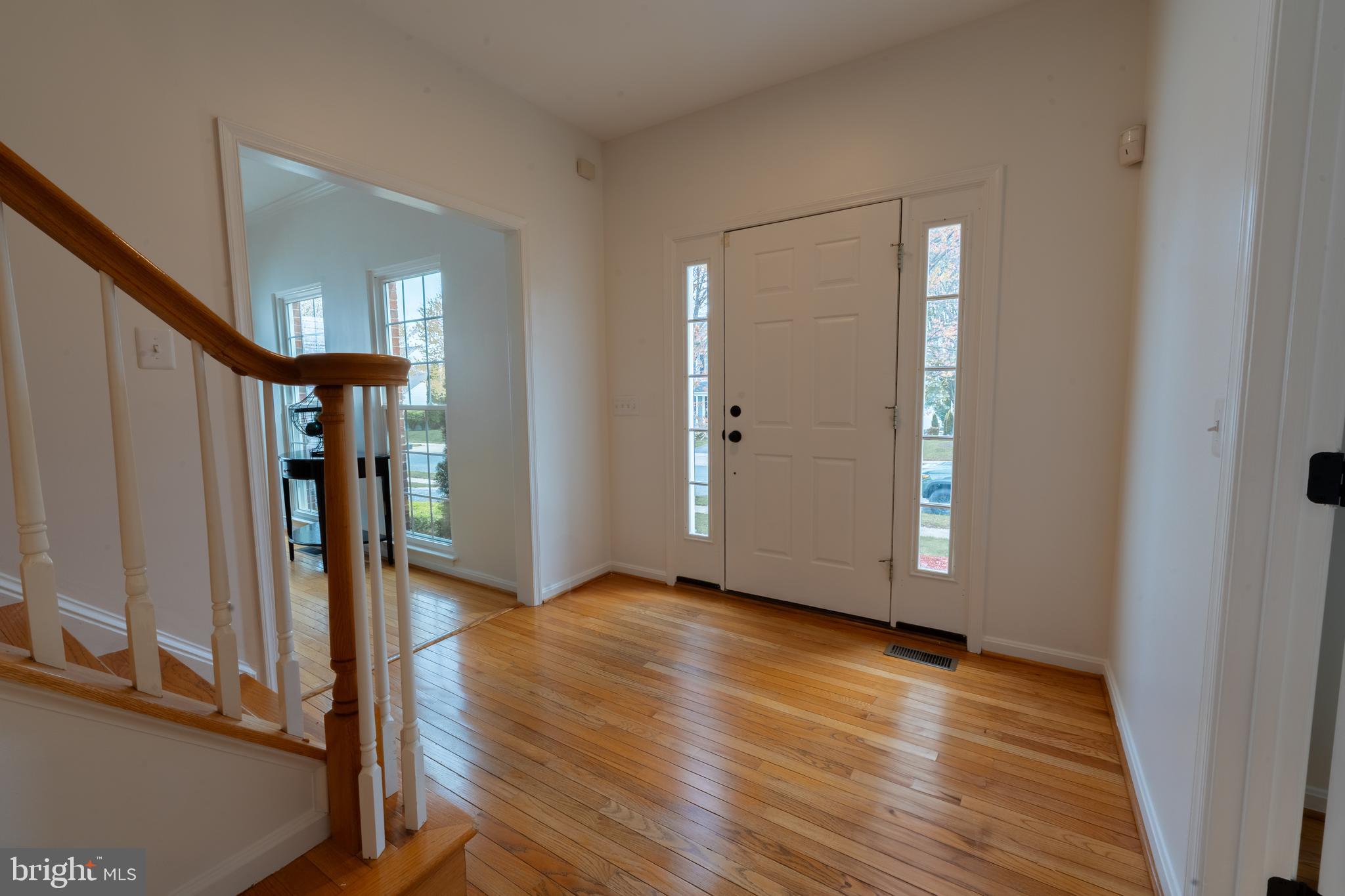 21210 Virginia Pine Ter