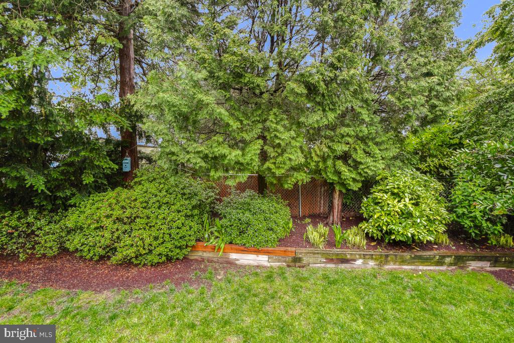 4513 Traymore St
