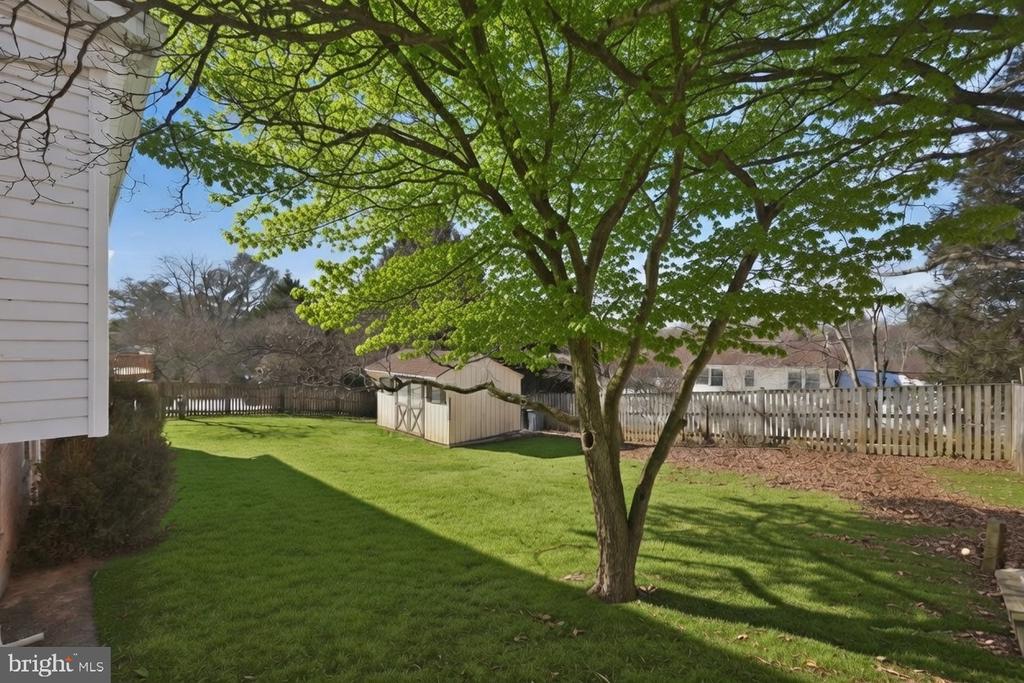 16 CLEMSON COURT