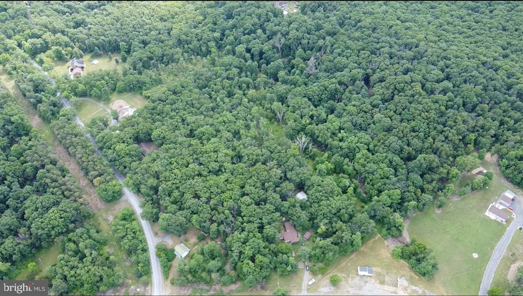 1917 S TIMBER RIDGE
