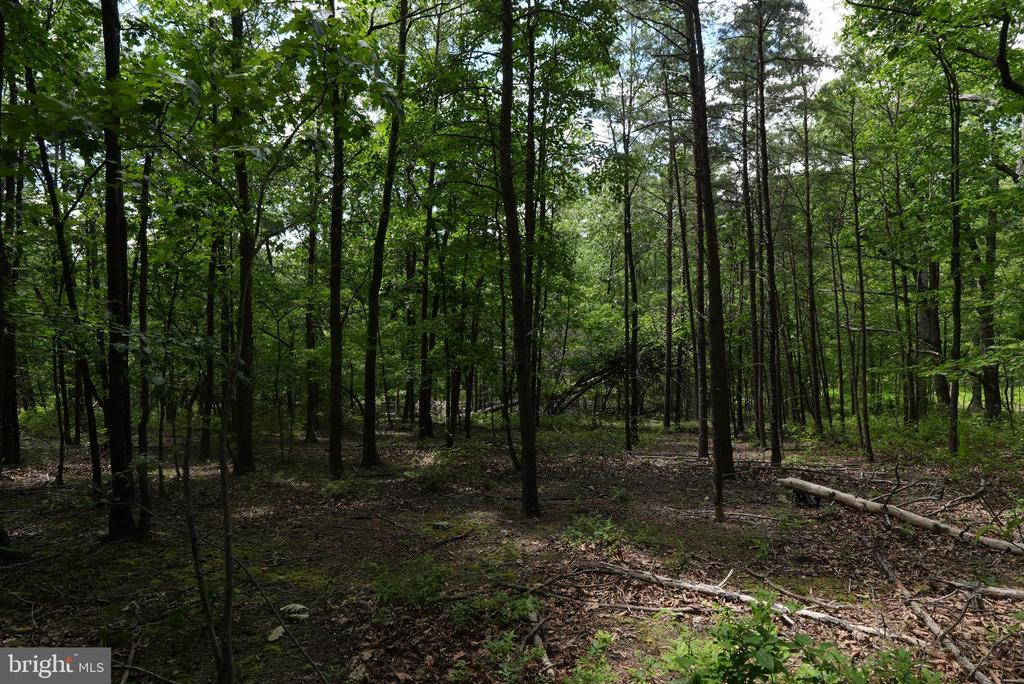1917 S TIMBER RIDGE