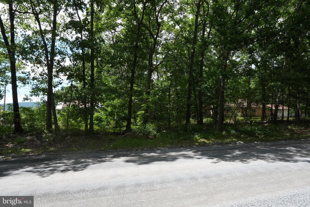 1917 S TIMBER RIDGE